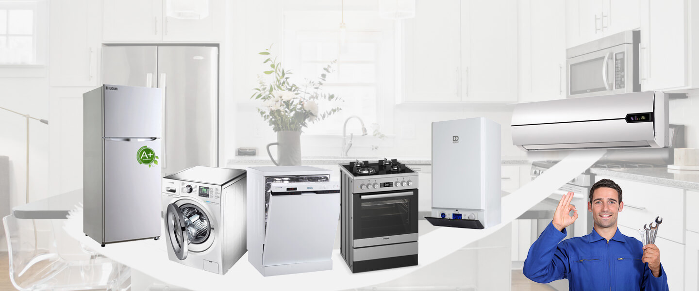 Digor Electrolux Servisi